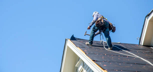 Roof Gutter Cleaning in South Pekin, IL